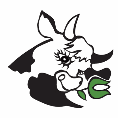 ekolukta_mruganie_oka_kolysanie_oddech